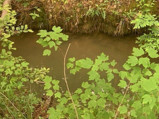 120.68 acres in Smith County - photo 10