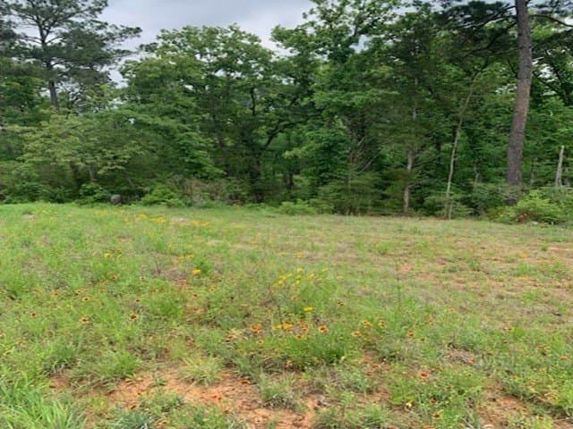 120.68 acres in Smith County - photo 14