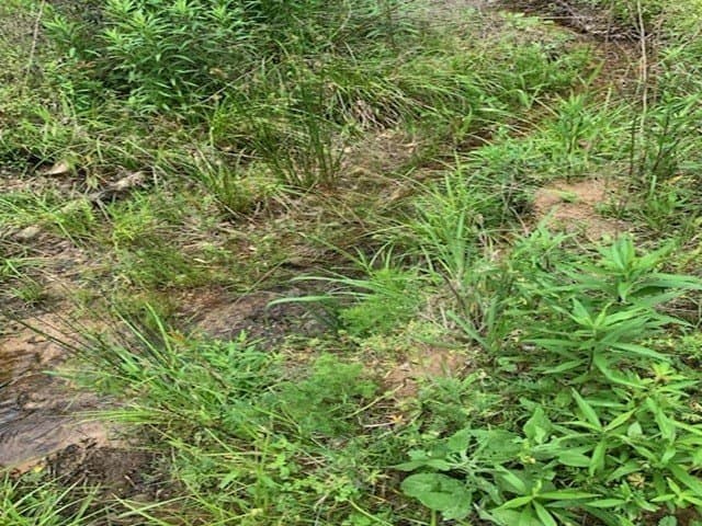 120.68 acres in Smith County - photo 6