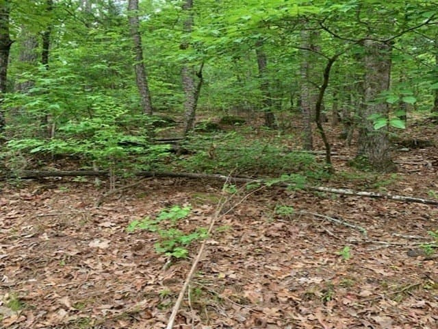 120.68 acres in Smith County - photo 12