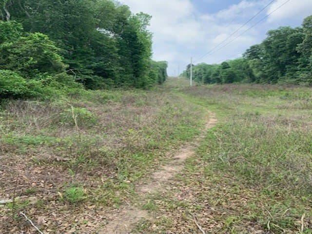 120.68 acres in Smith County - photo 8