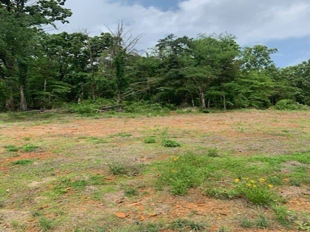 120.68 acres in Smith County - photo 16
