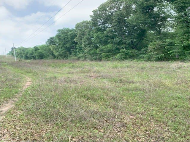 120.68 acres in Smith County - photo 9