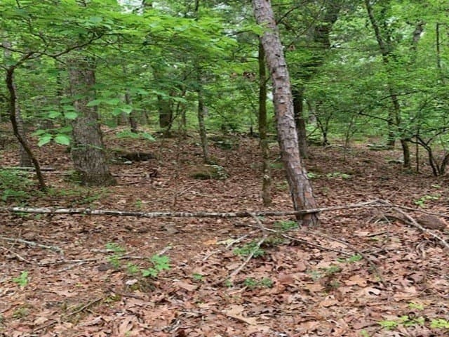 120.68 acres in Smith County - photo 13