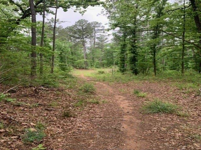 120.68 acres in Smith County - photo 15