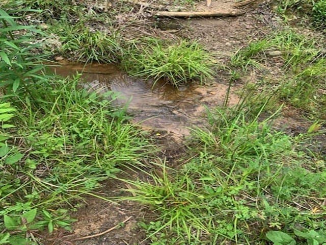 120.68 acres in Smith County - photo 7