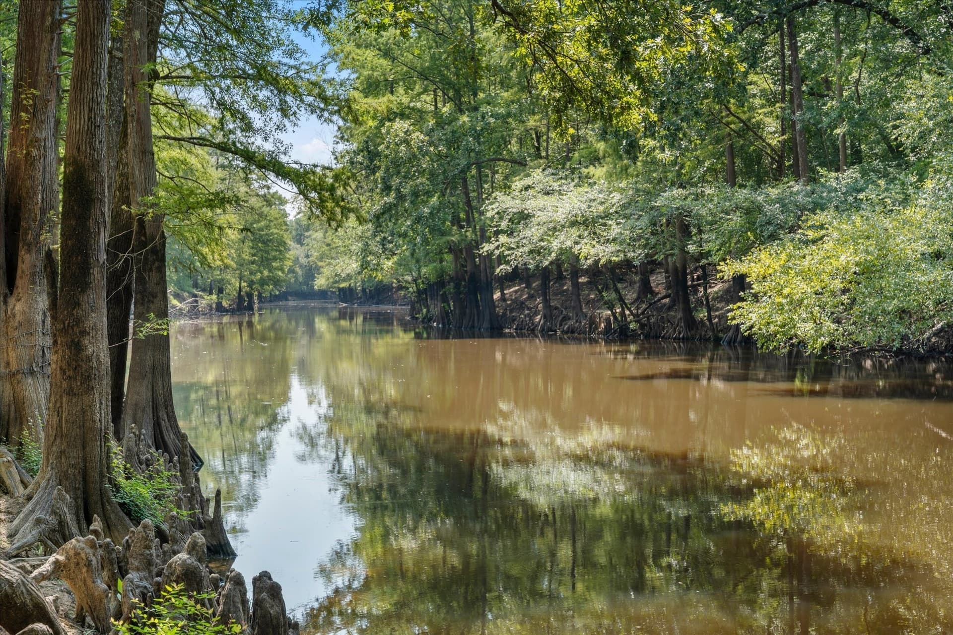 44.54 acres in Marion County - photo 2