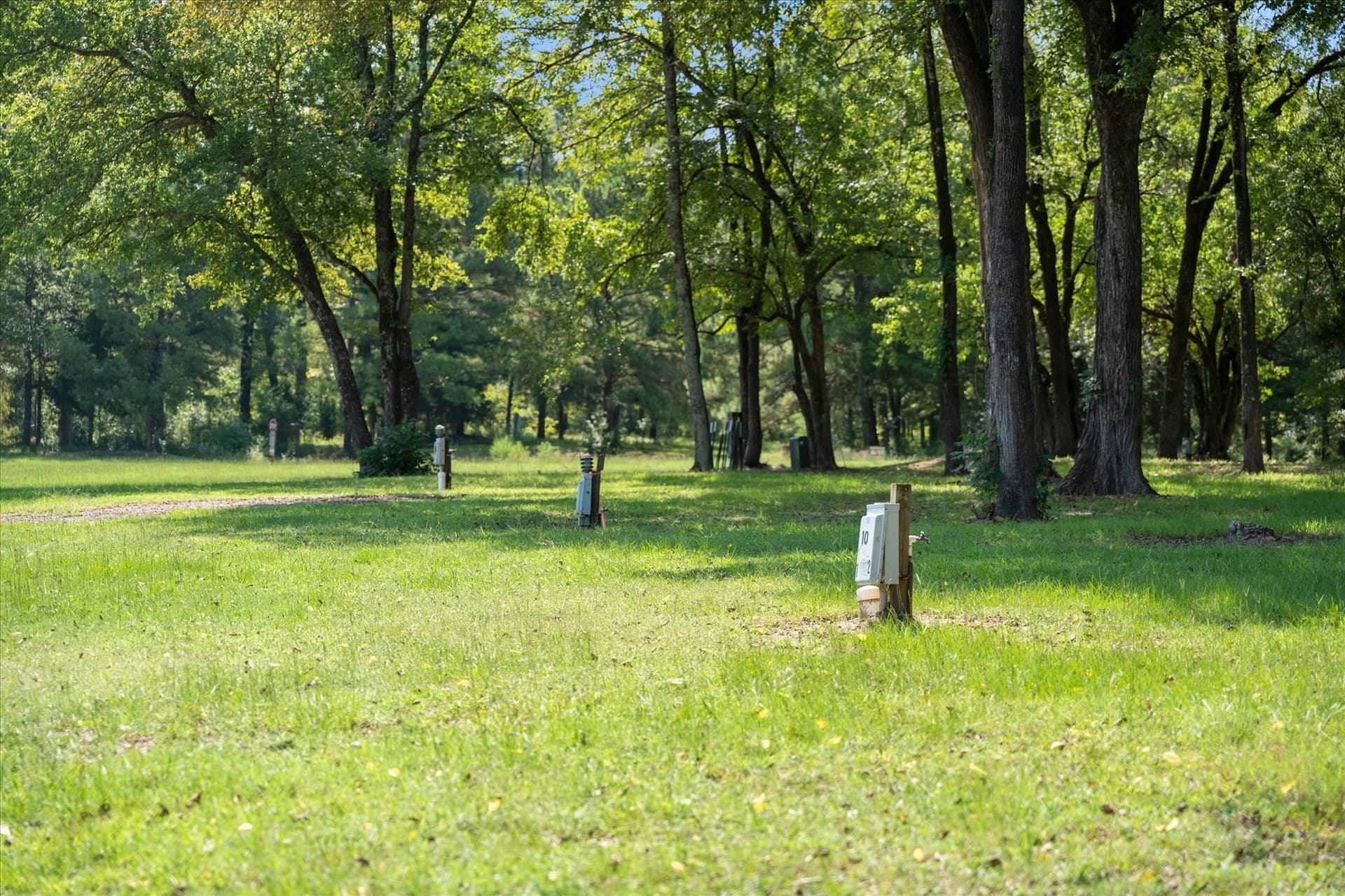 44.54 acres in Marion County - photo 4