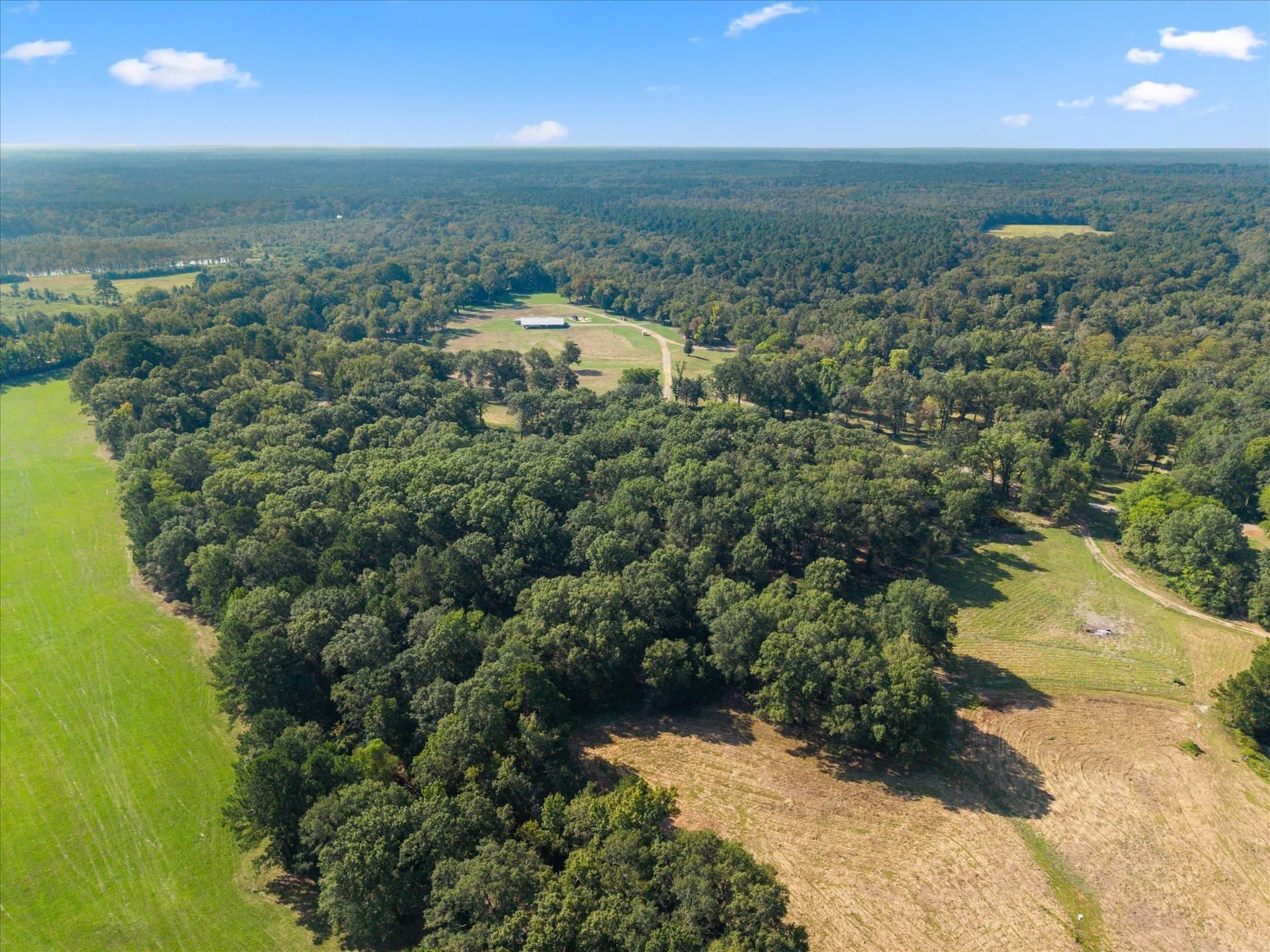 44.54 acres in Marion County - photo 8