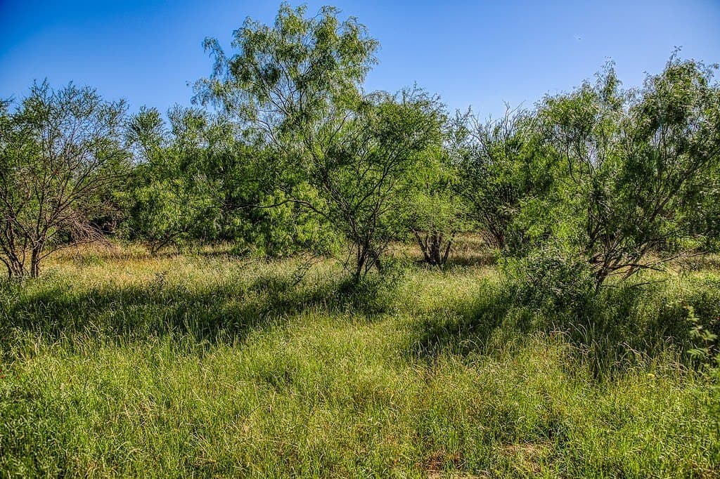 28.75 acres in Washington County - photo 9