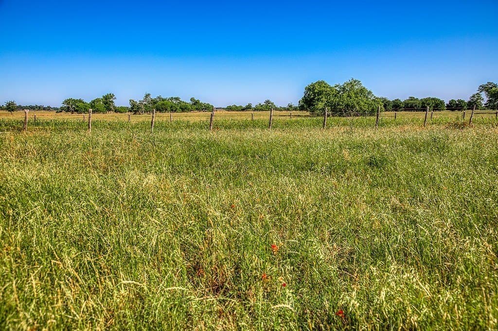 28.75 acres in Washington County - photo 11