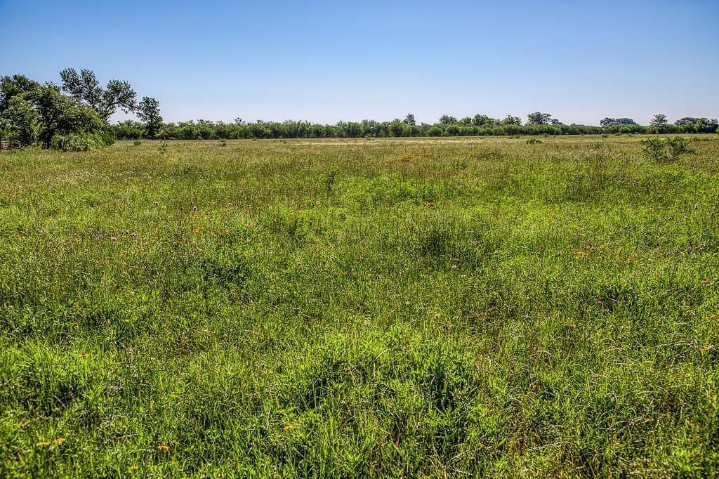 28.75 acres in Washington County gallery image 4