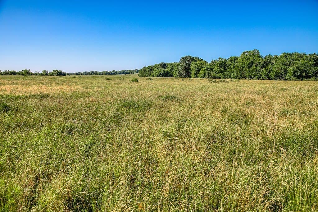 28.75 acres in Washington County - photo 15