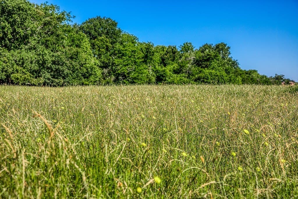 28.75 acres in Washington County - photo 13