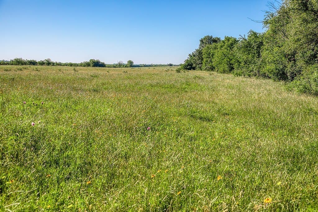 28.75 acres in Washington County - photo 18