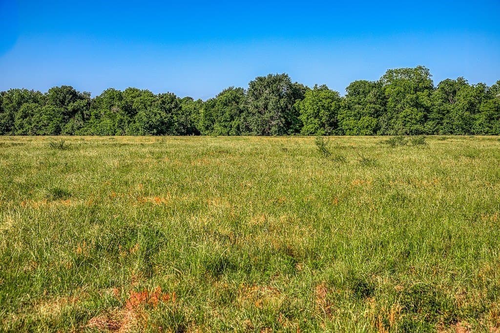 28.75 acres in Washington County - photo 7