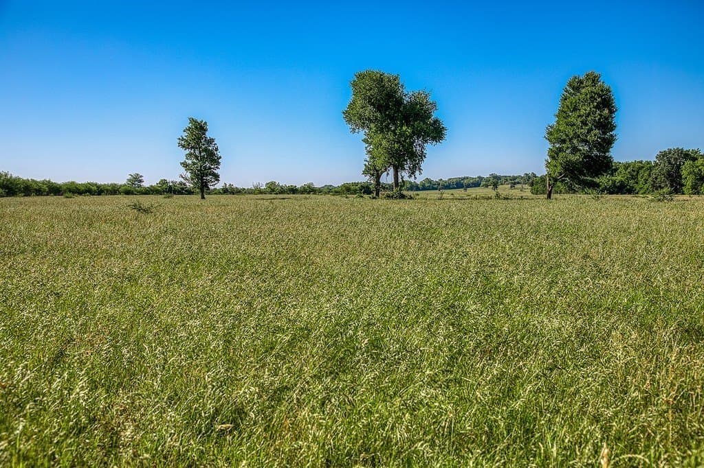 28.75 acres in Washington County - photo 12