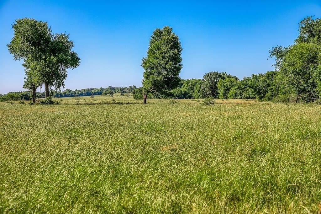 28.75 acres in Washington County gallery image 2