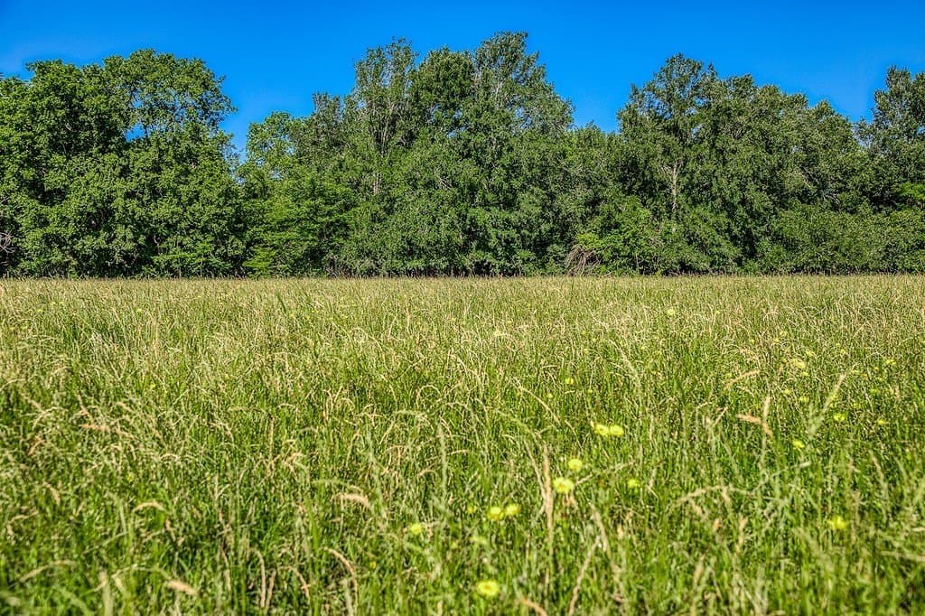 28.75 acres in Washington County gallery image 3