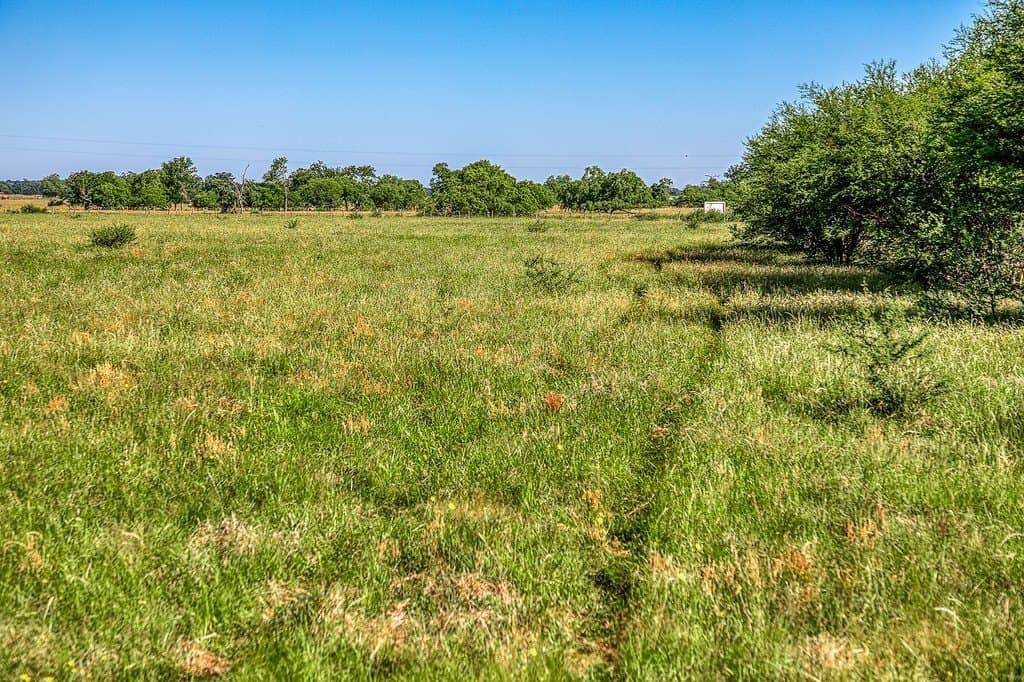 28.75 acres in Washington County - photo 6