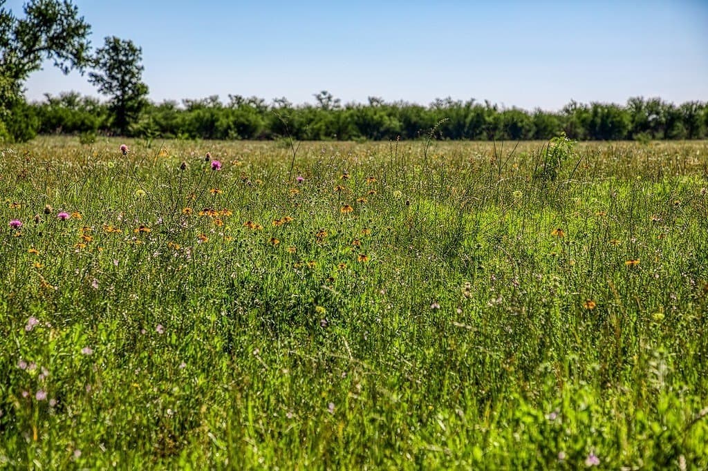28.75 acres in Washington County - photo 19