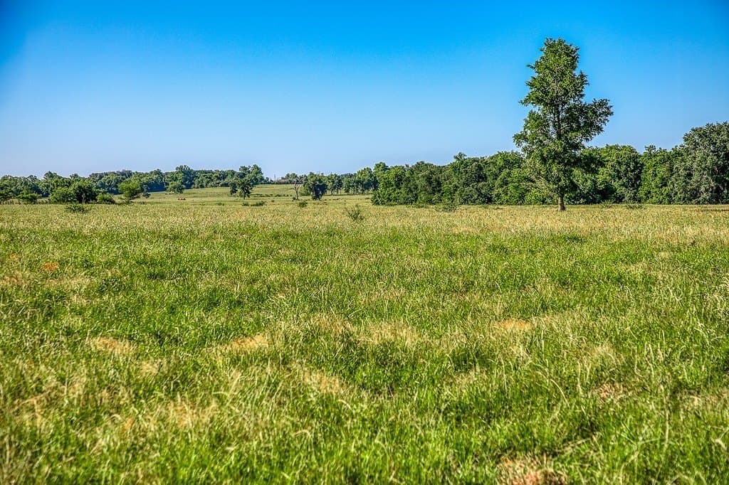 28.75 acres in Washington County - photo 8