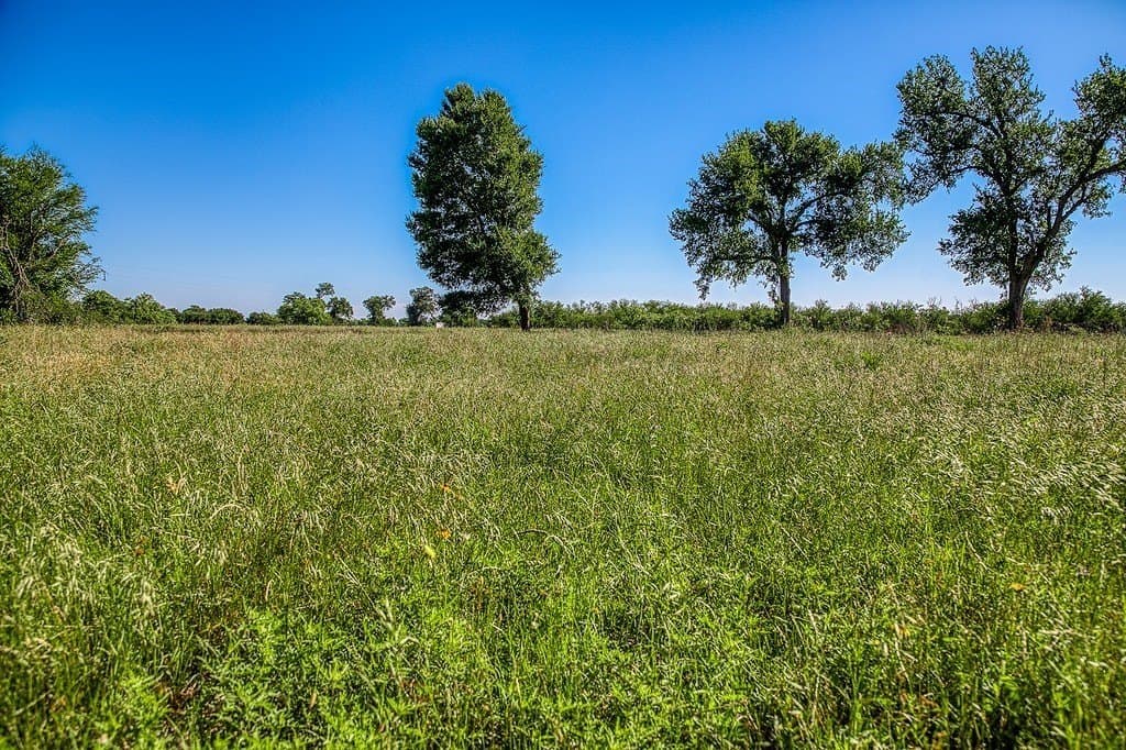 28.75 acres in Washington County - photo 14