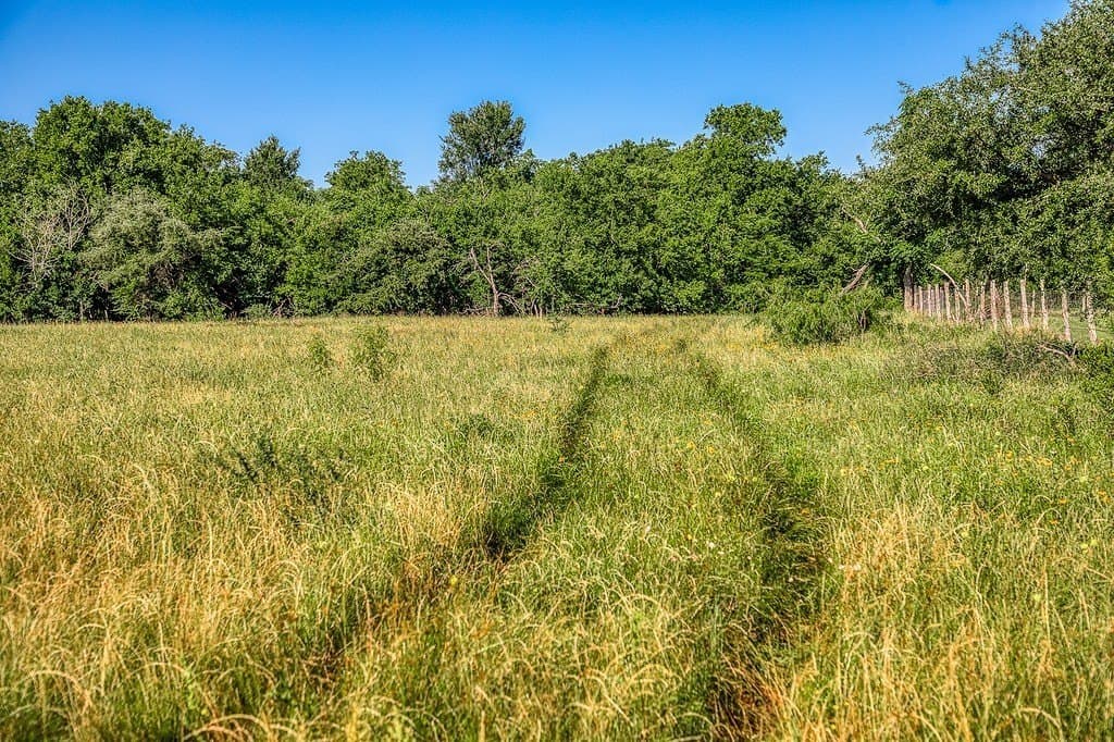 28.75 acres in Washington County - photo 16