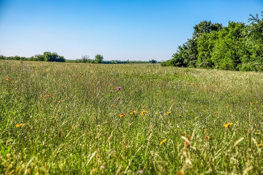 28.75 acres in Washington County - photo 17