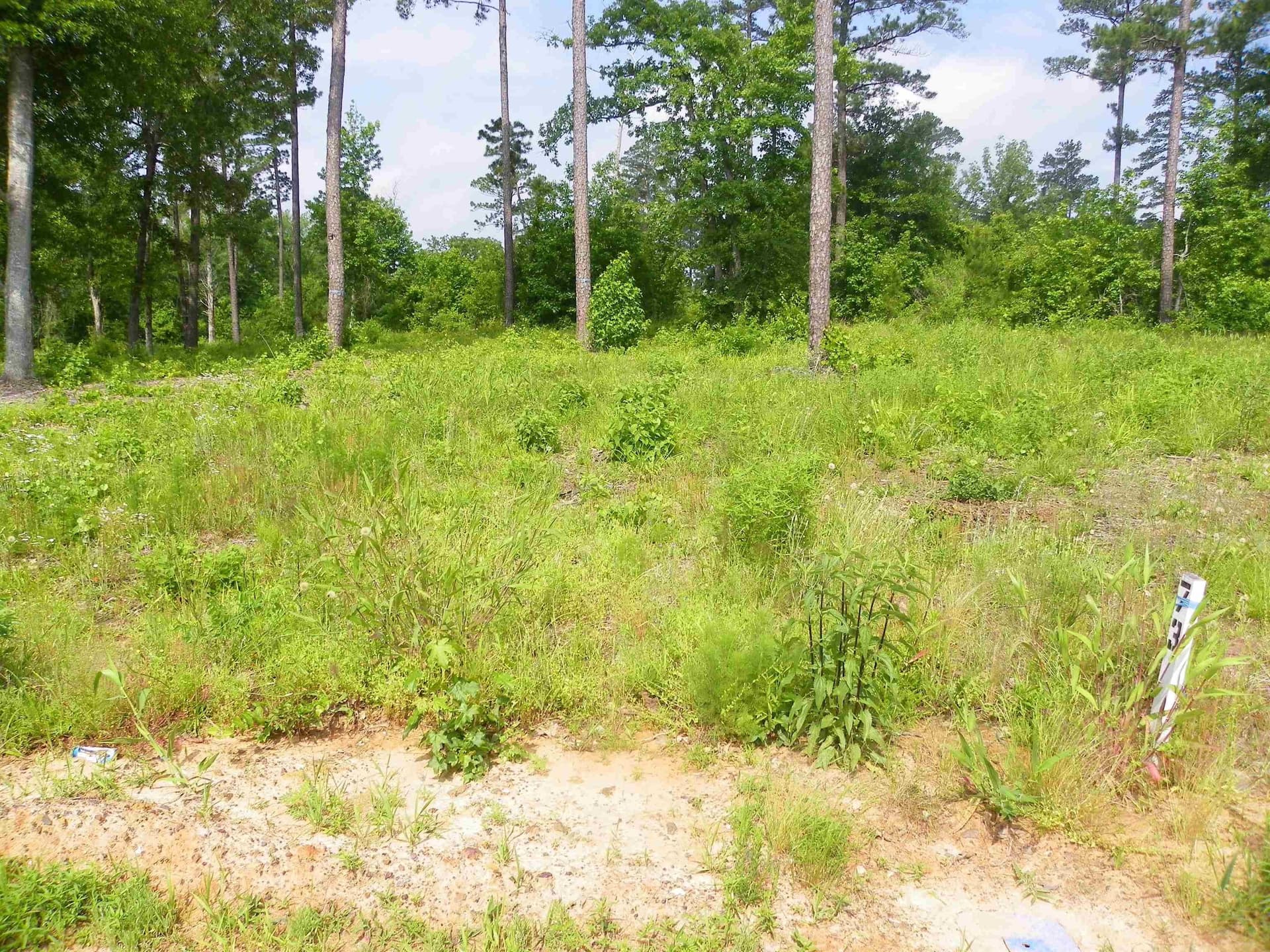 2.02 acres in Texas County - photo 6