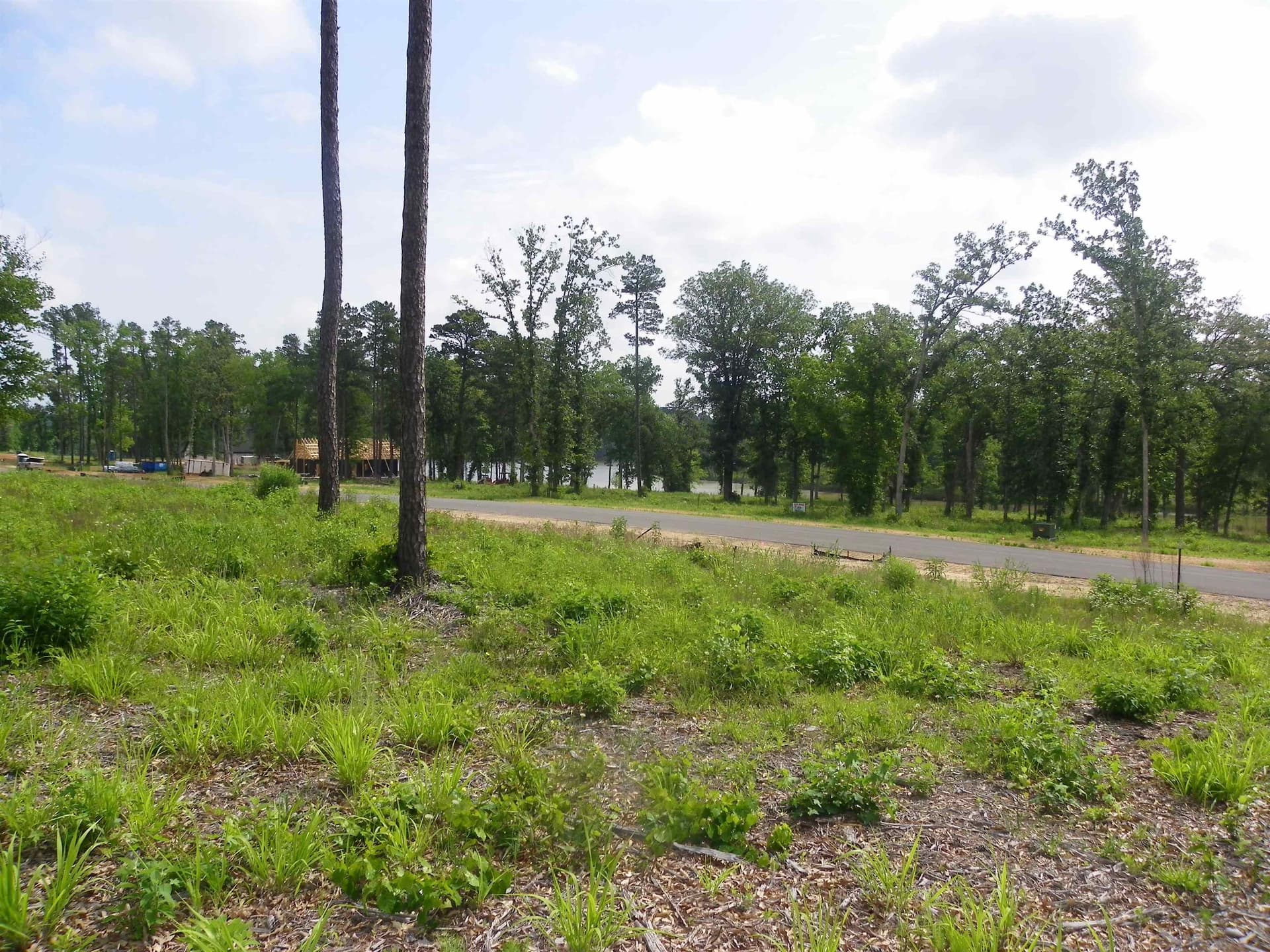 2.02 acres in Texas County - photo 8