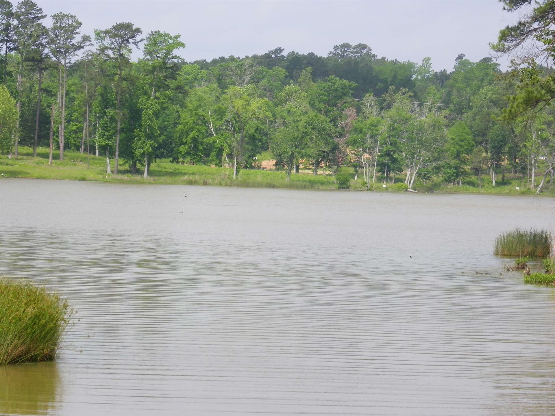 2.02 acres in Texas County - photo 13