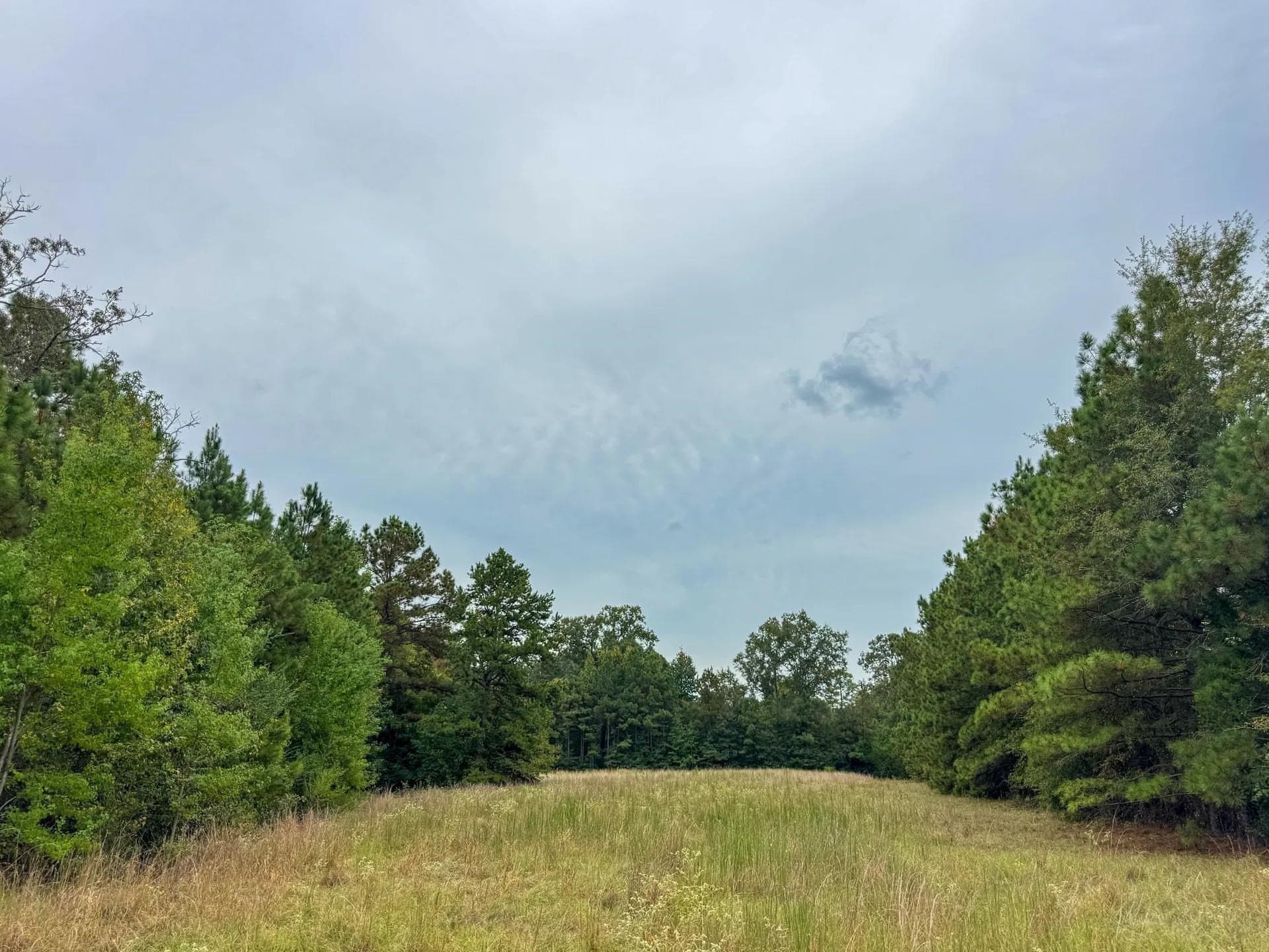 57.61 acres in Marion County - photo 12