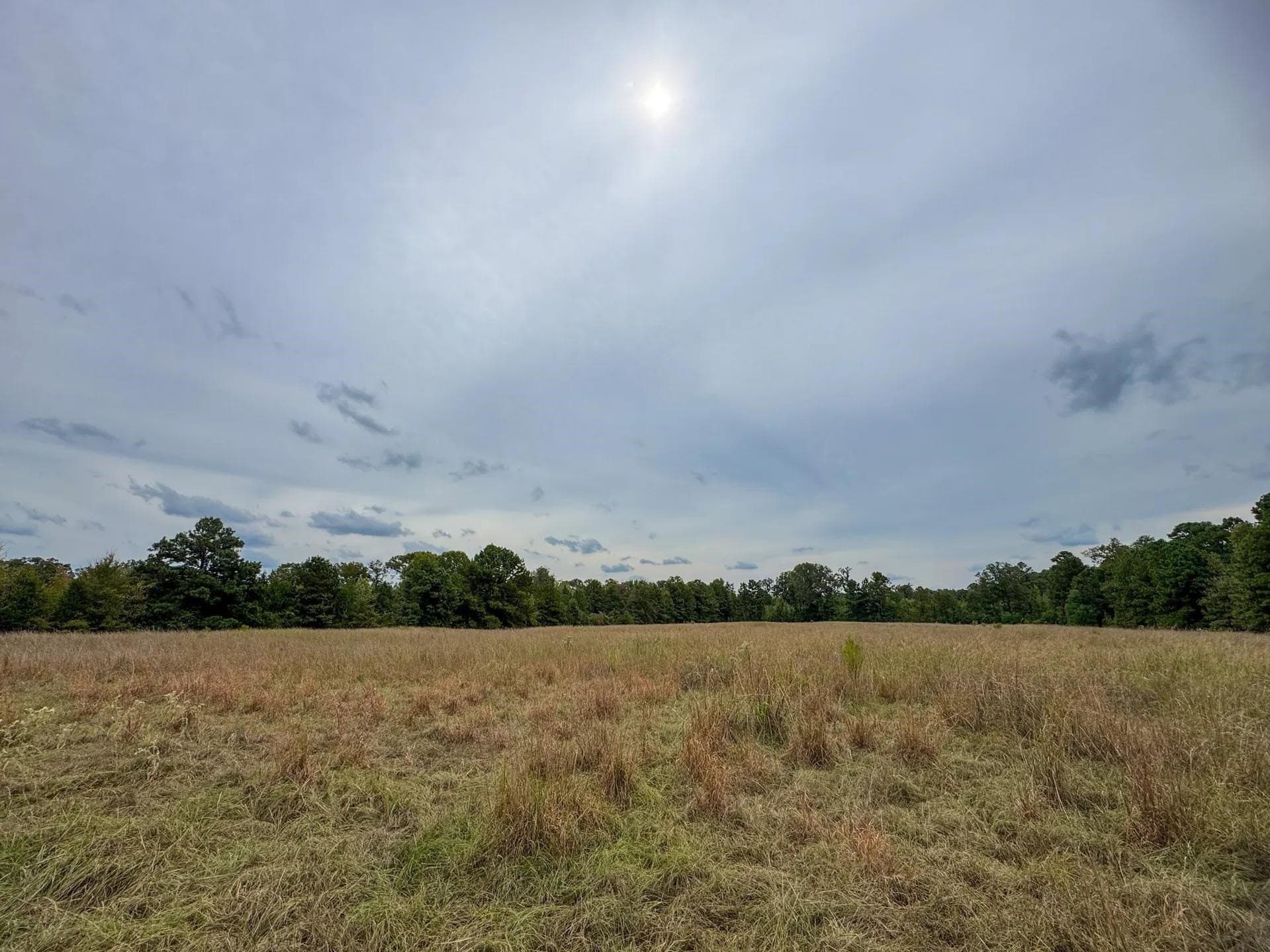 57.61 acres in Marion County - photo 17