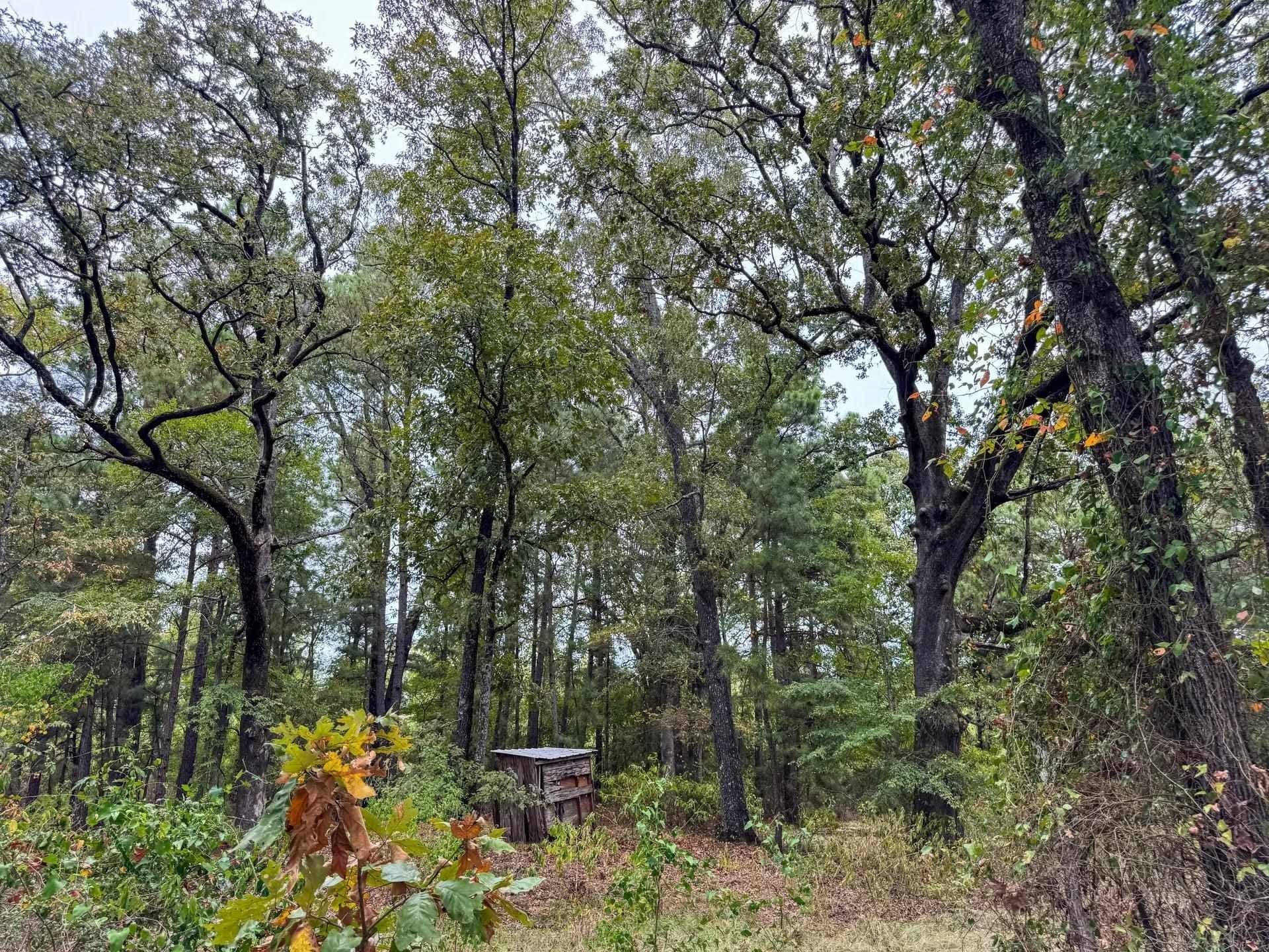 57.61 acres in Marion County - photo 26