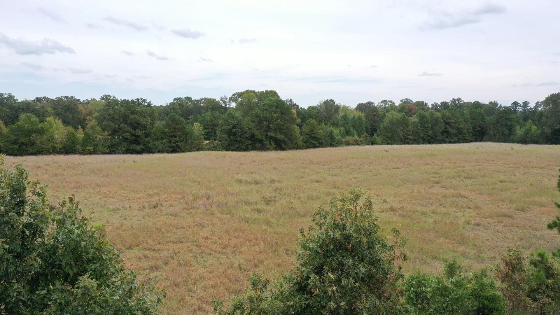 57.61 acres in Marion County - photo 3