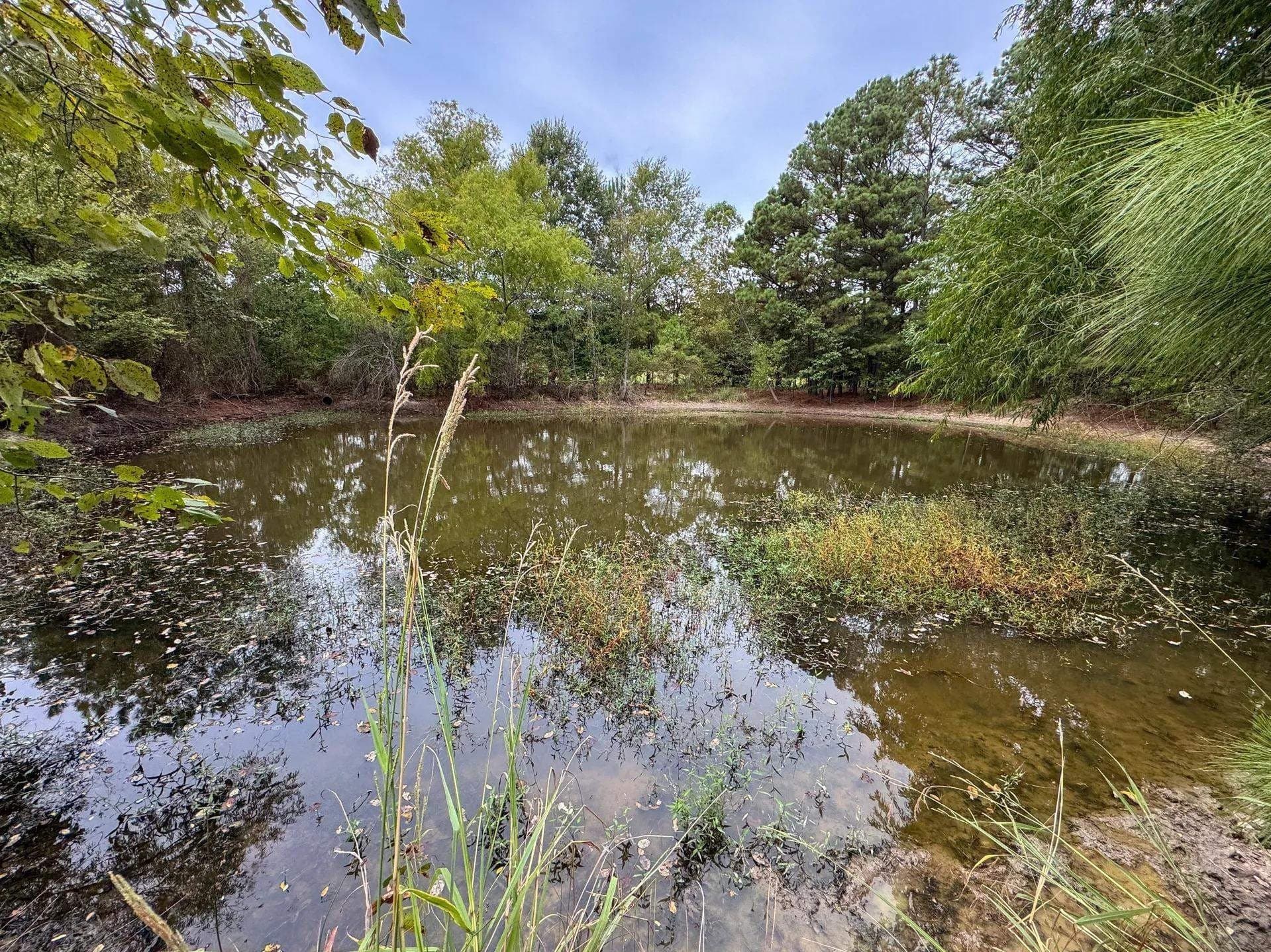 57.61 acres in Marion County - photo 24