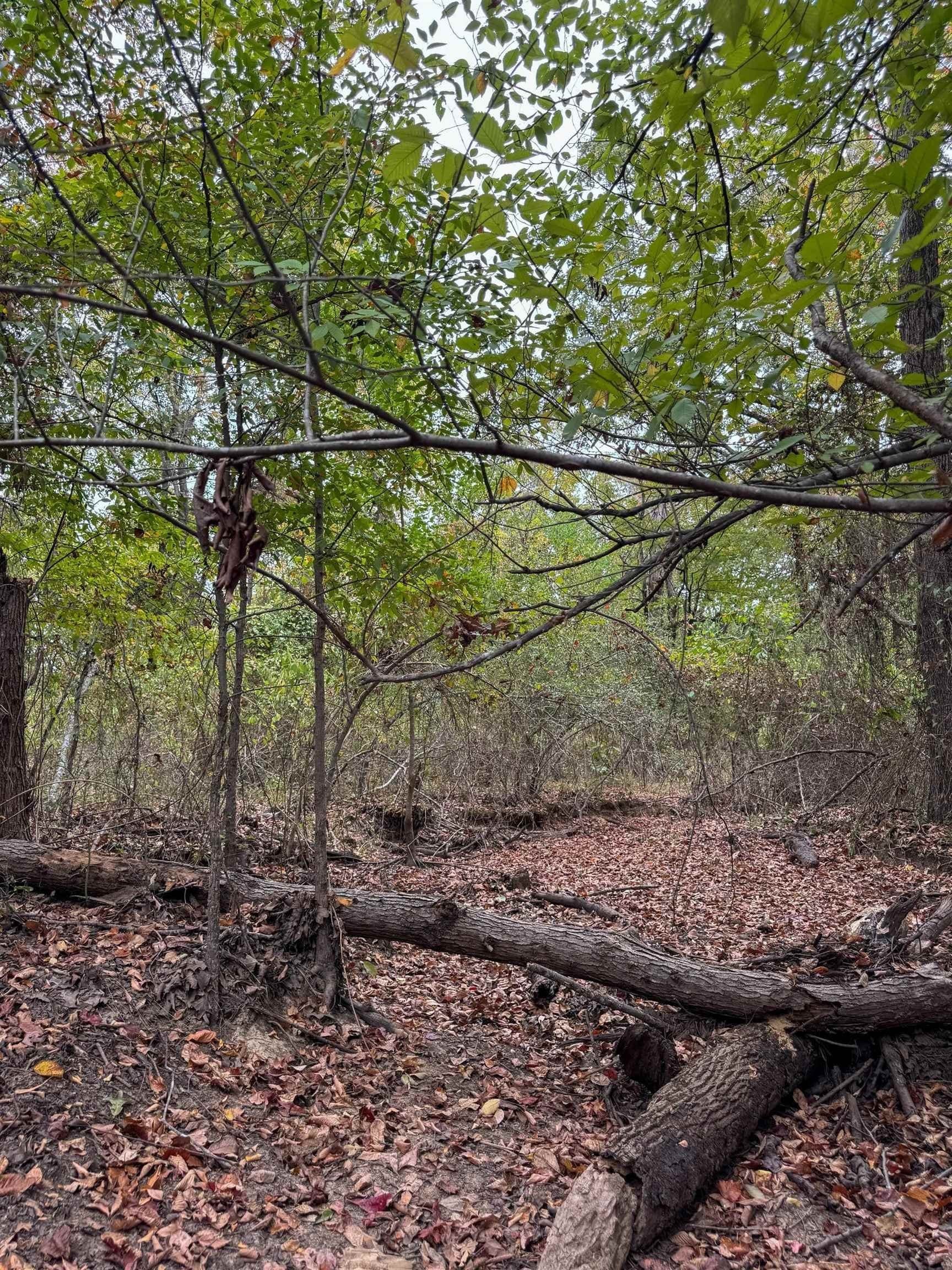 57.61 acres in Marion County - photo 30