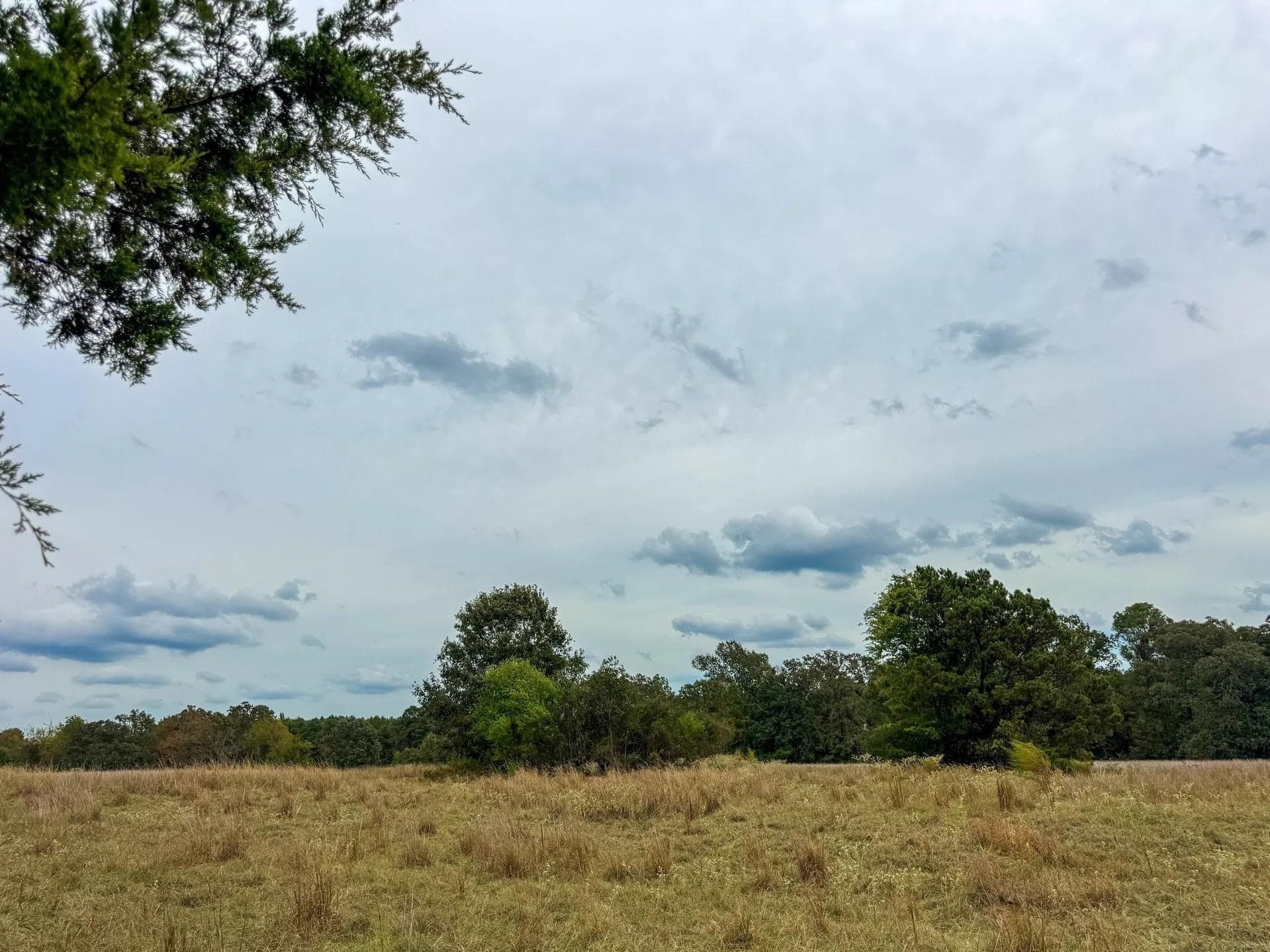 57.61 acres in Marion County - photo 20