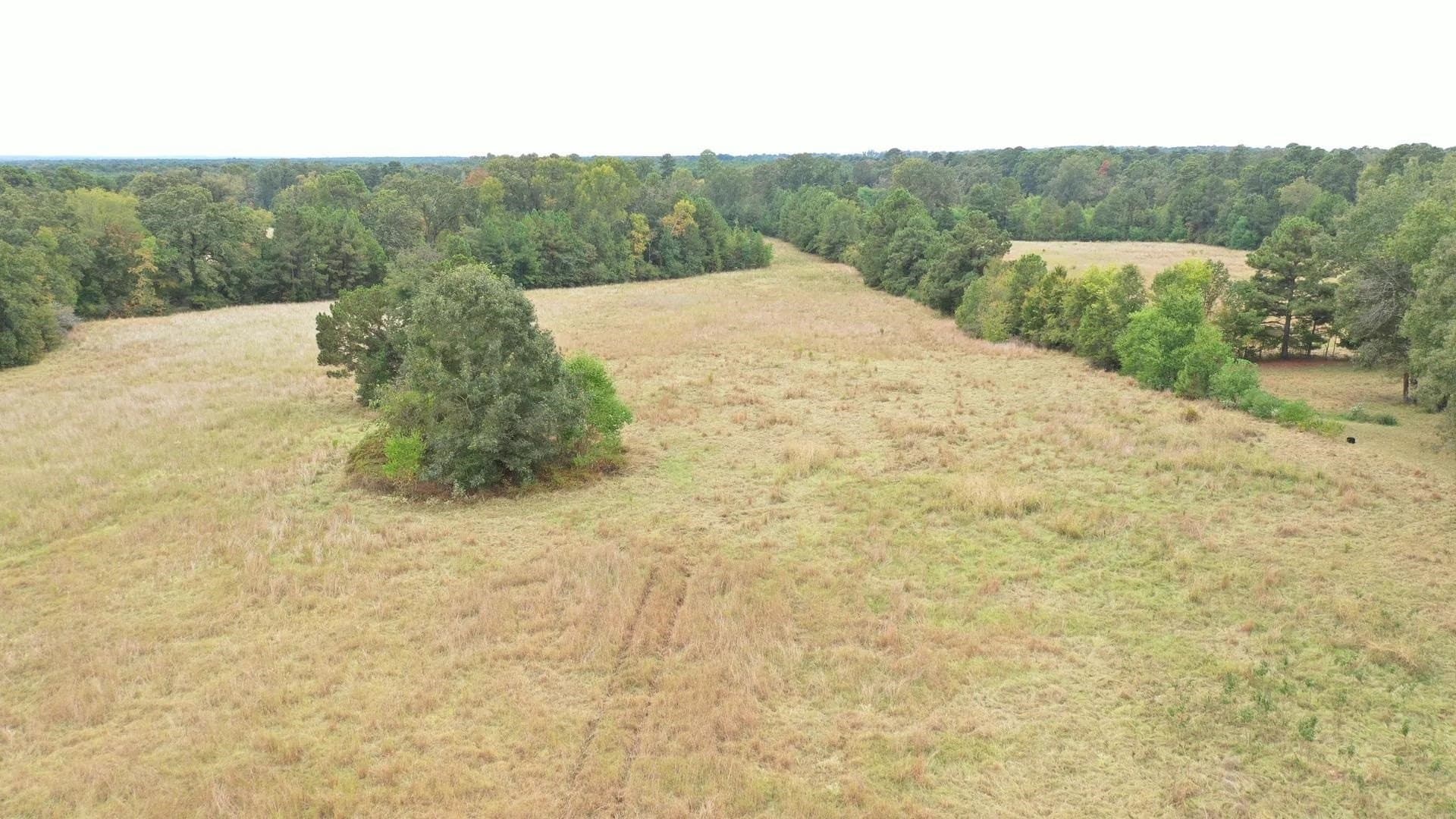 57.61 acres in Marion County - photo 7
