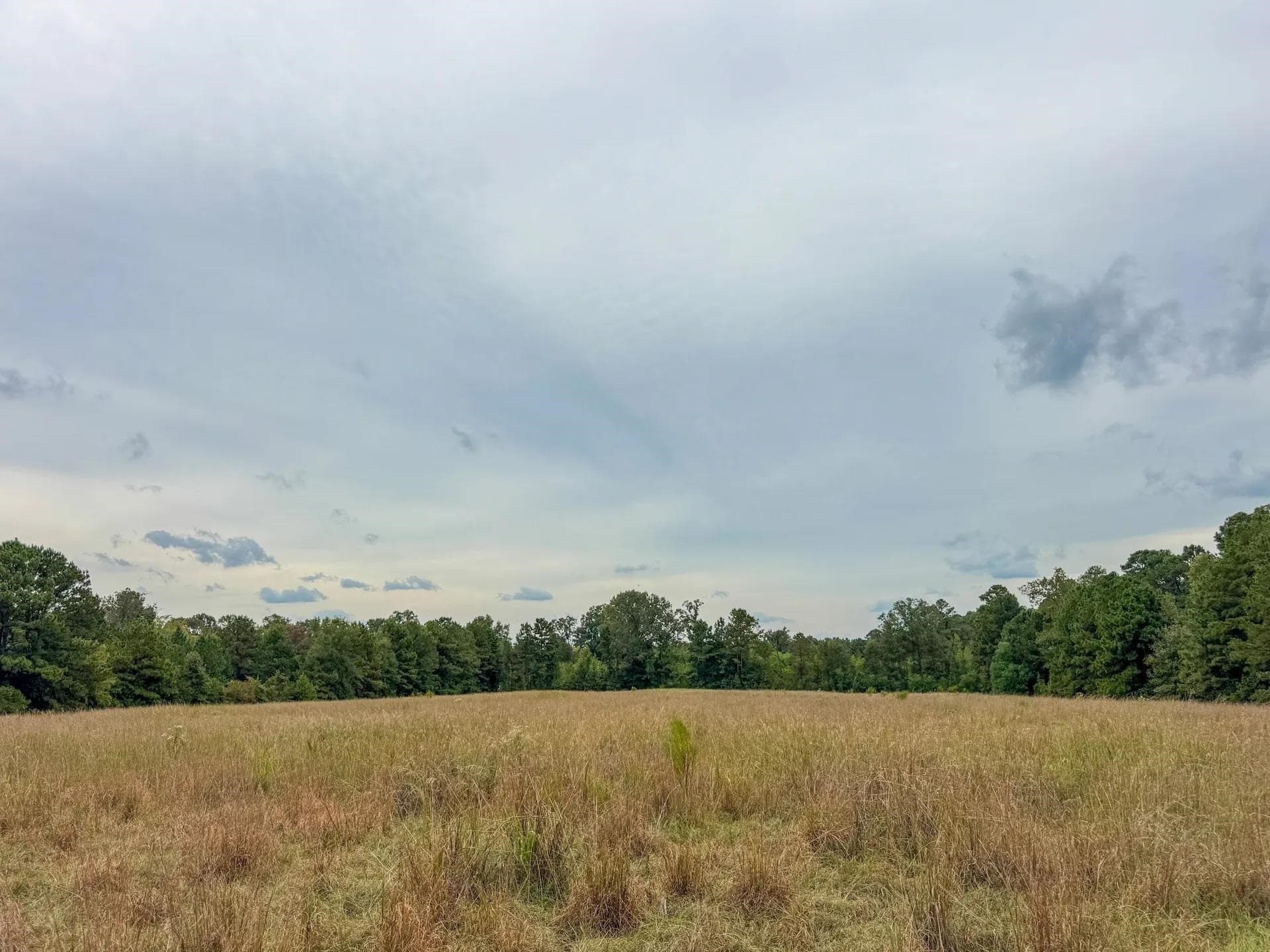 57.61 acres in Marion County - photo 16