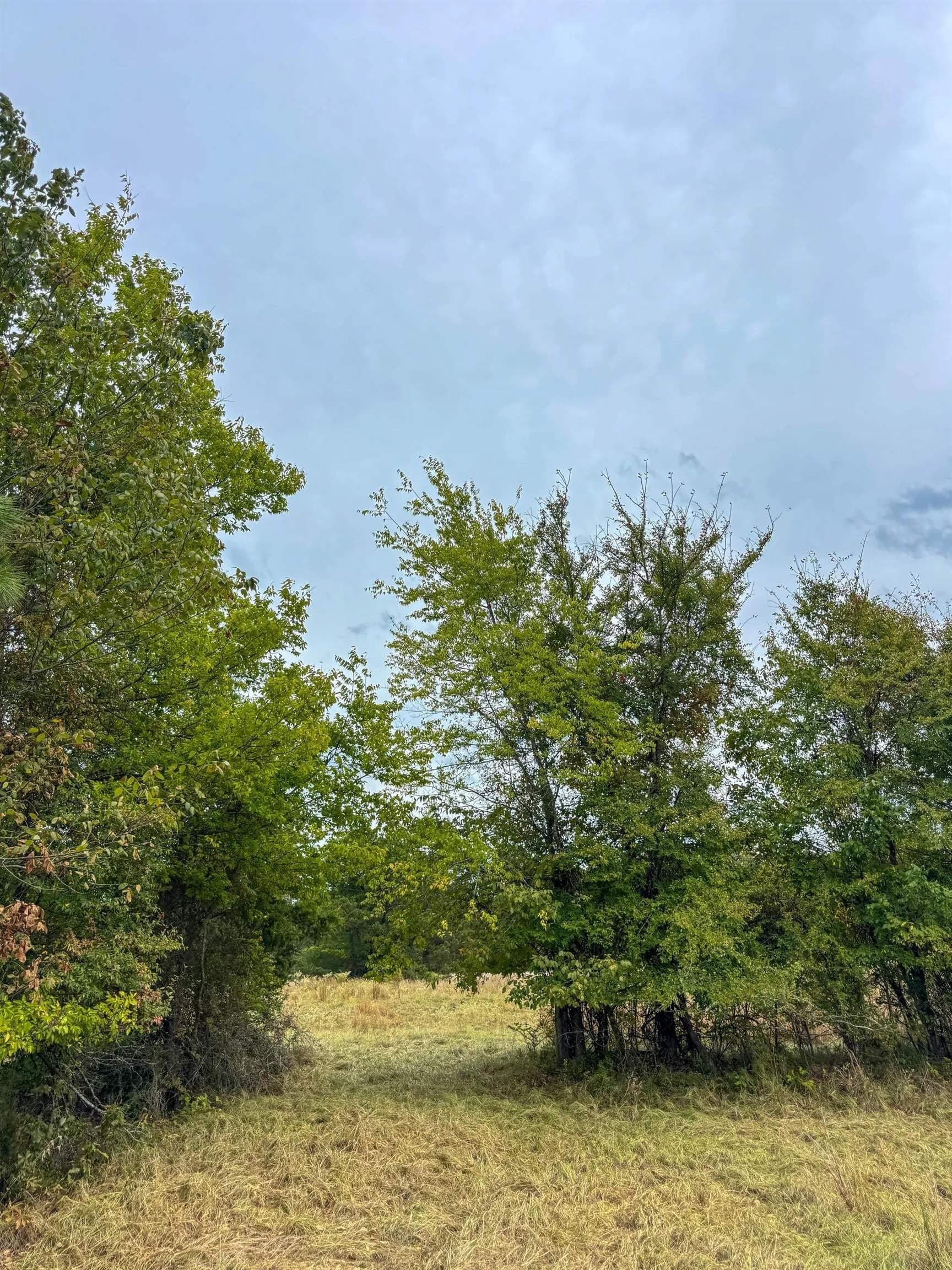 57.61 acres in Marion County - photo 18