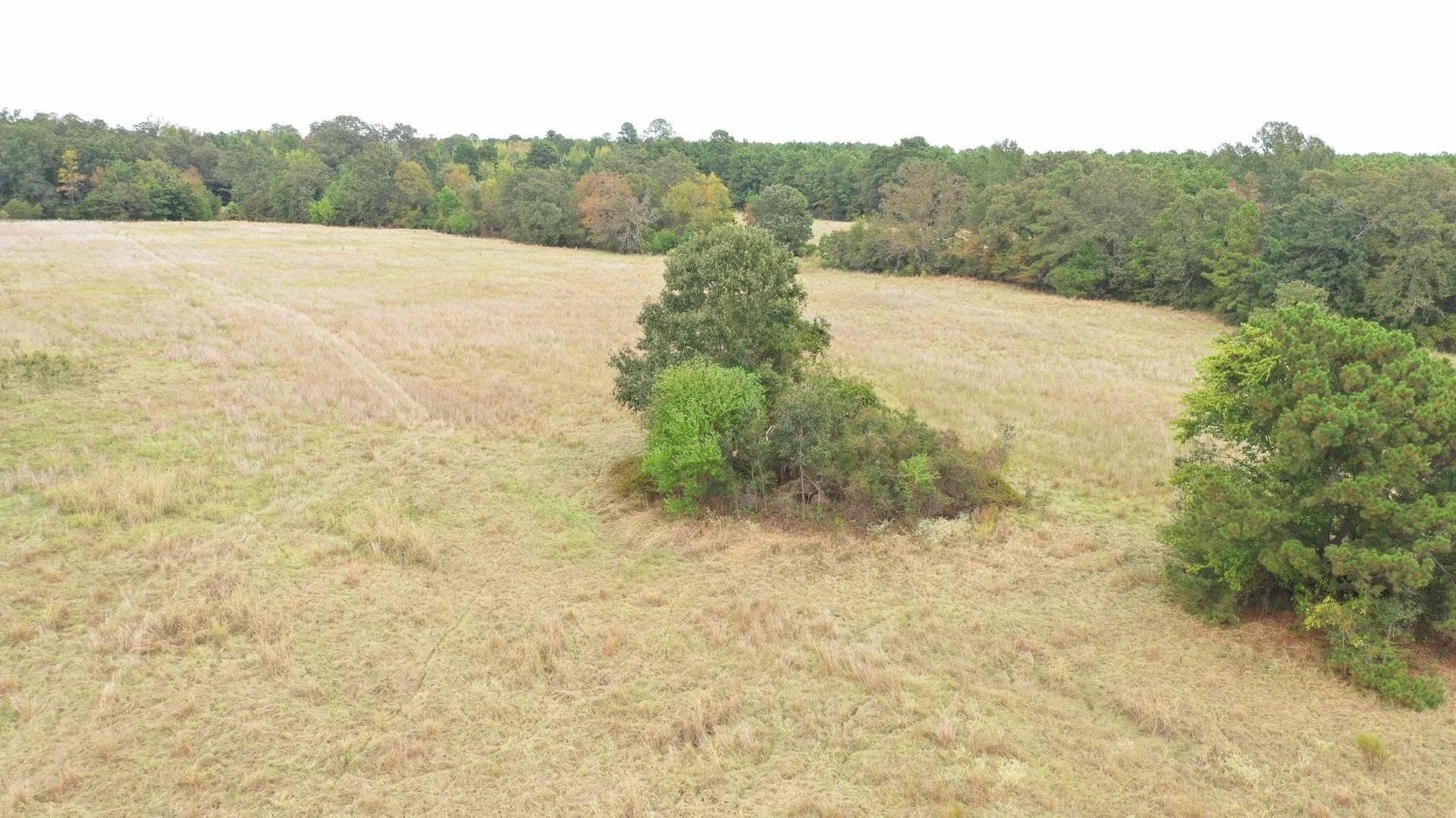 57.61 acres in Marion County - photo 8