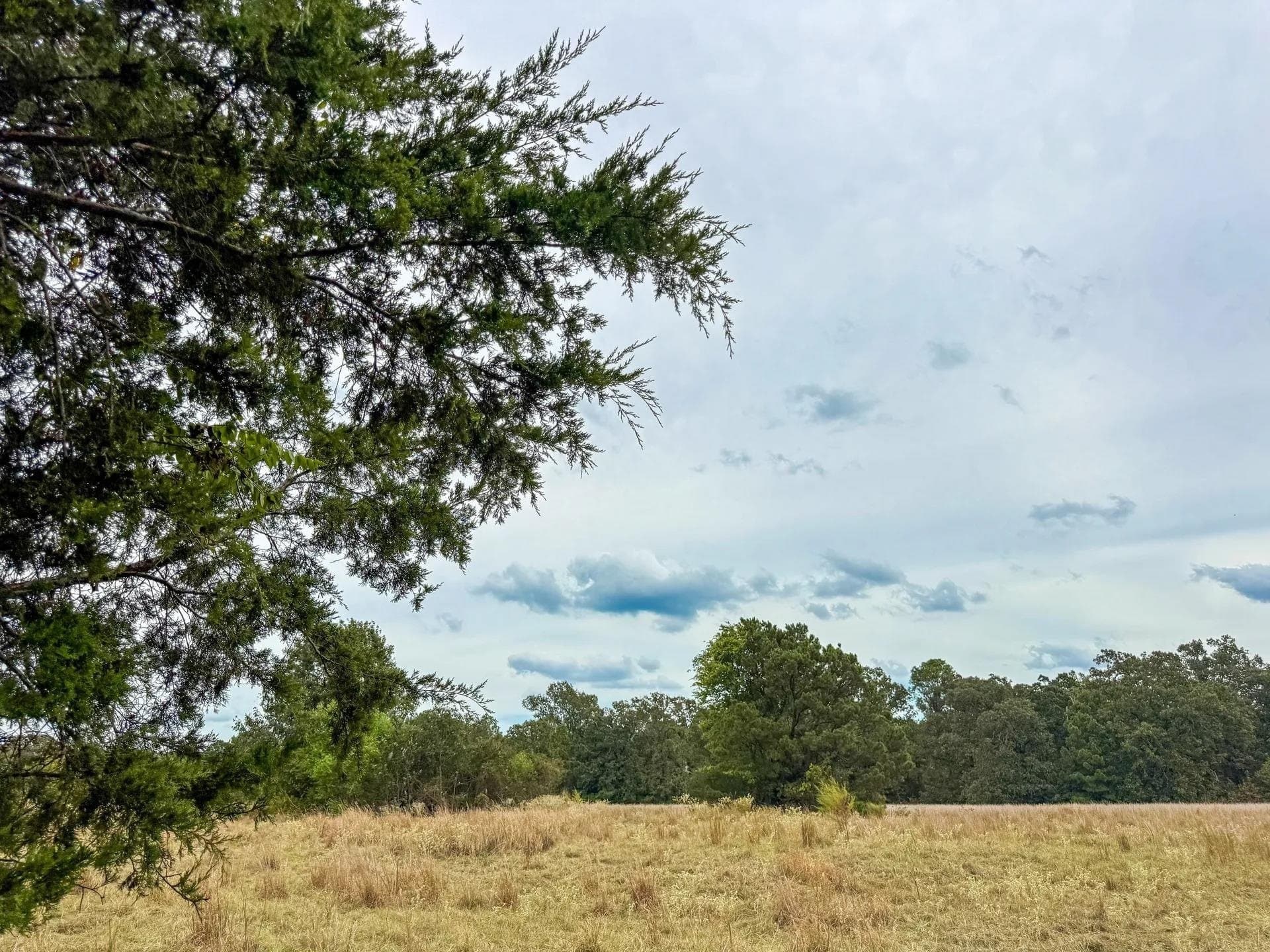 57.61 acres in Marion County - photo 19