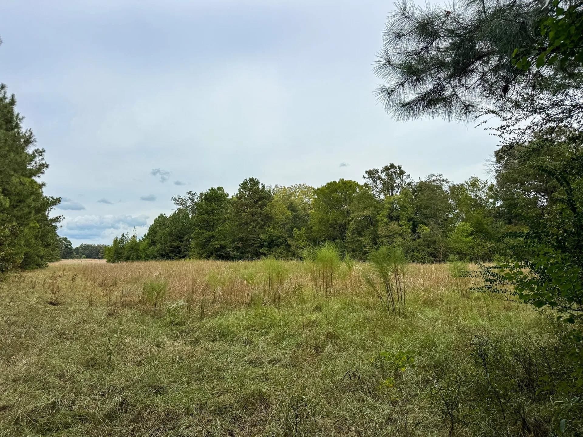 57.61 acres in Marion County - photo 23