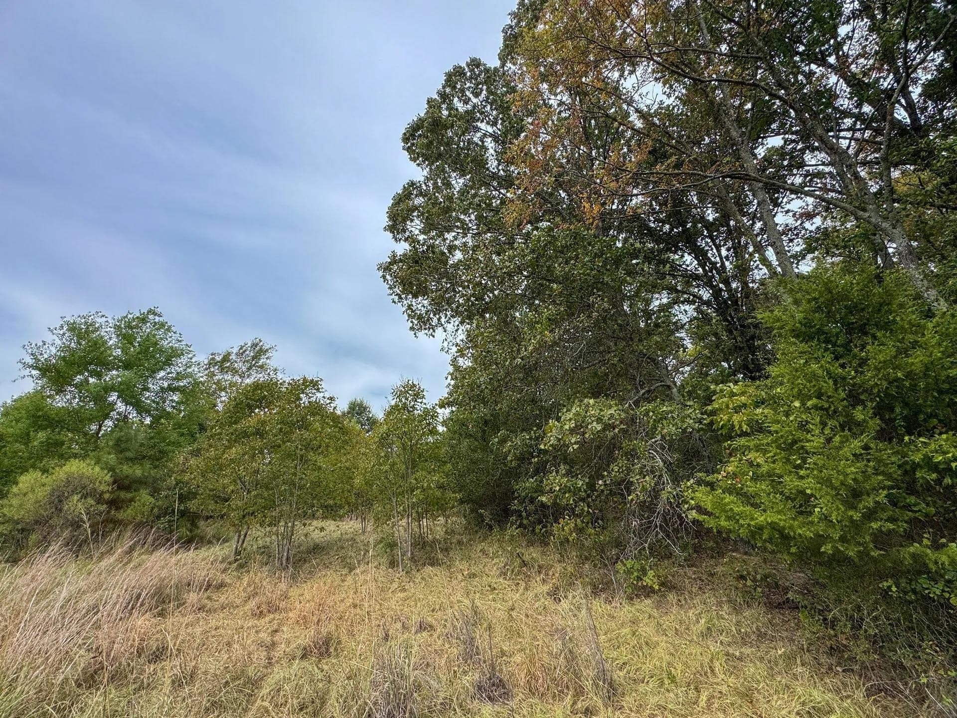 57.61 acres in Marion County - photo 22
