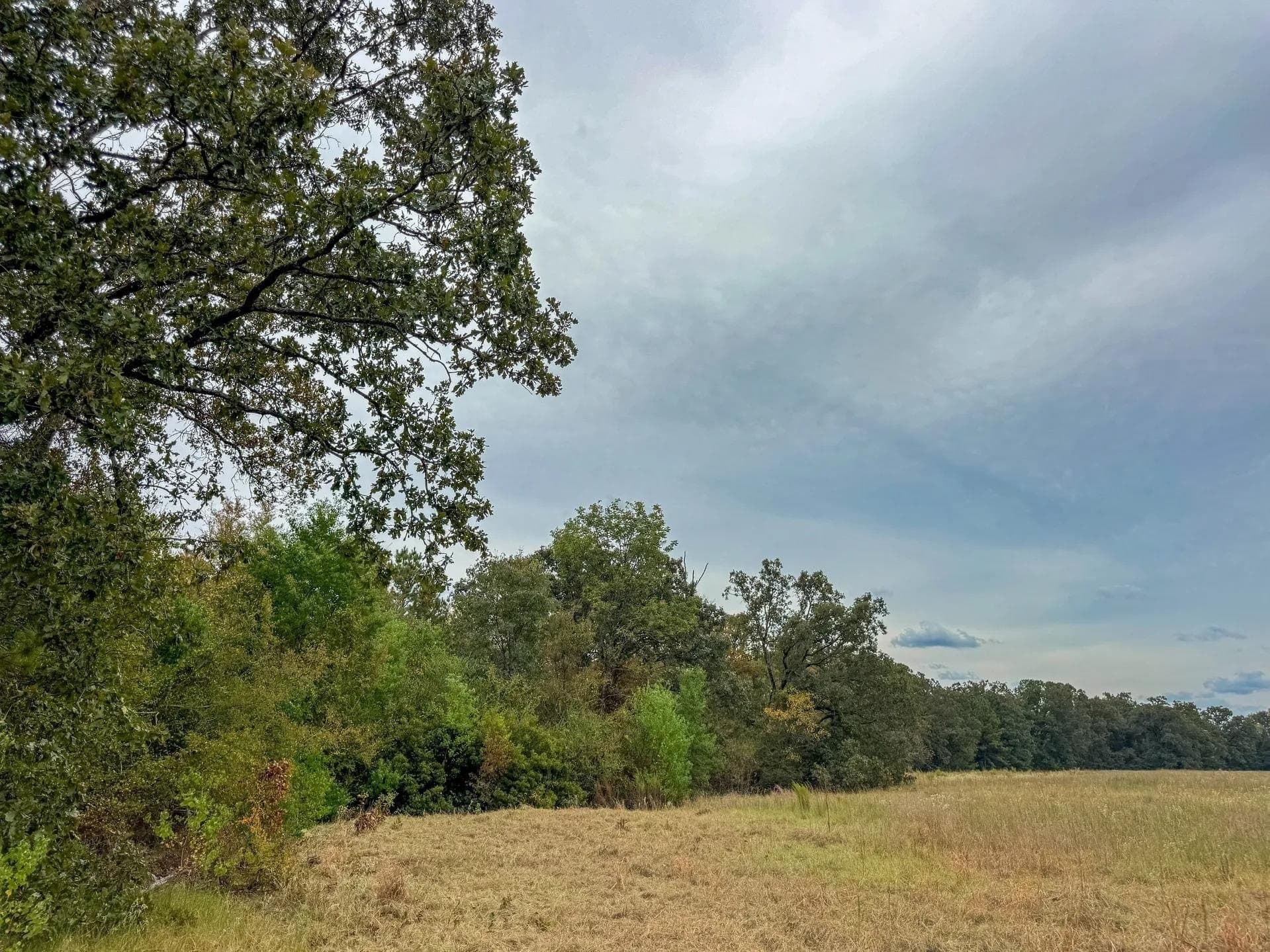 57.61 acres in Marion County - photo 14