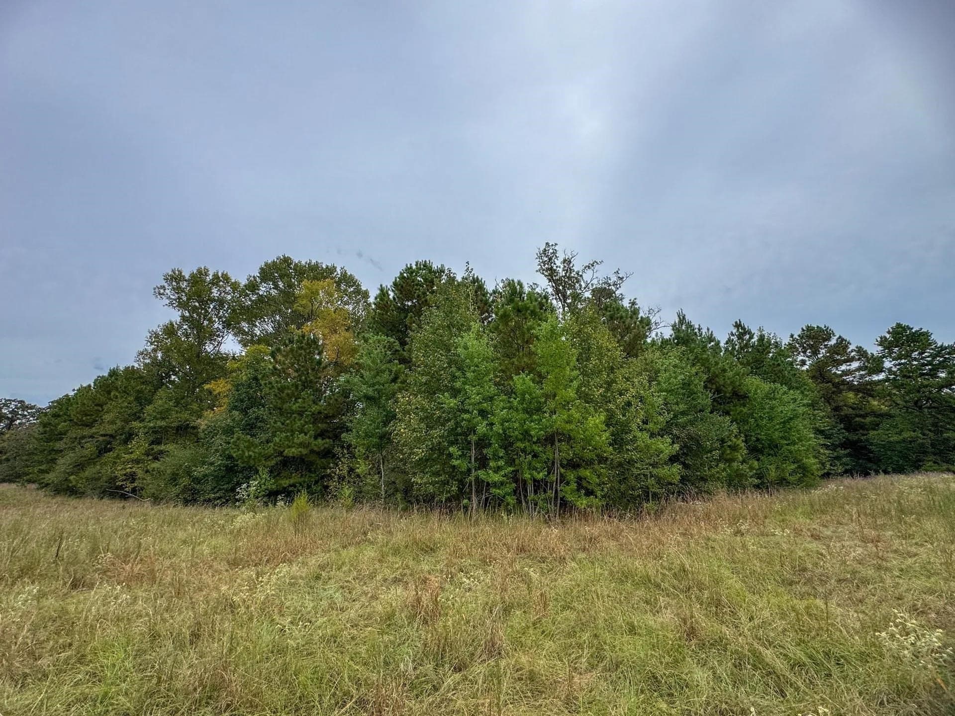 57.61 acres in Marion County - photo 11