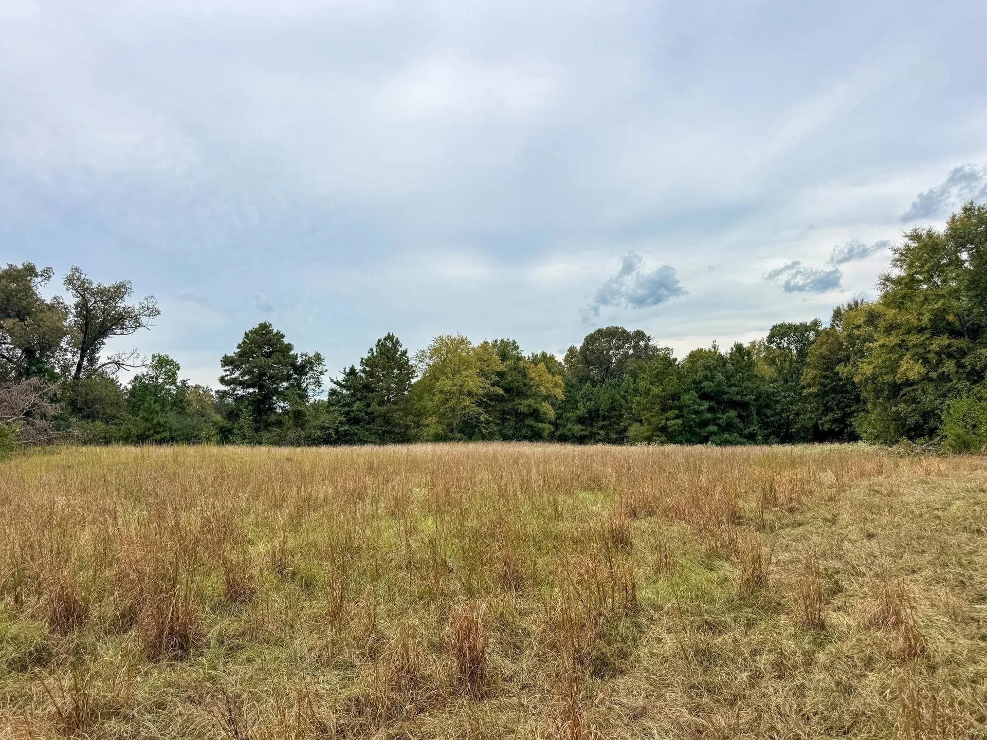 57.61 acres in Marion County - photo 9