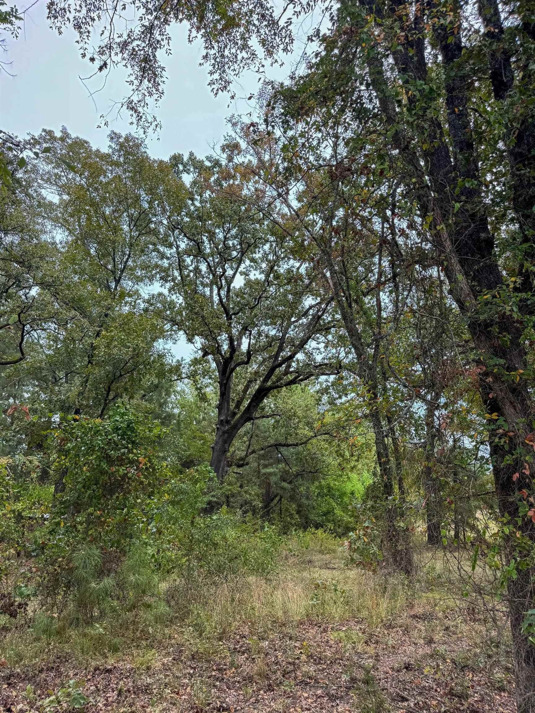 57.61 acres in Marion County - photo 25